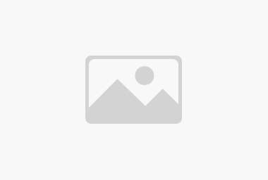 **商务车降价 奥迪A6L沪上较高让利2.6万
